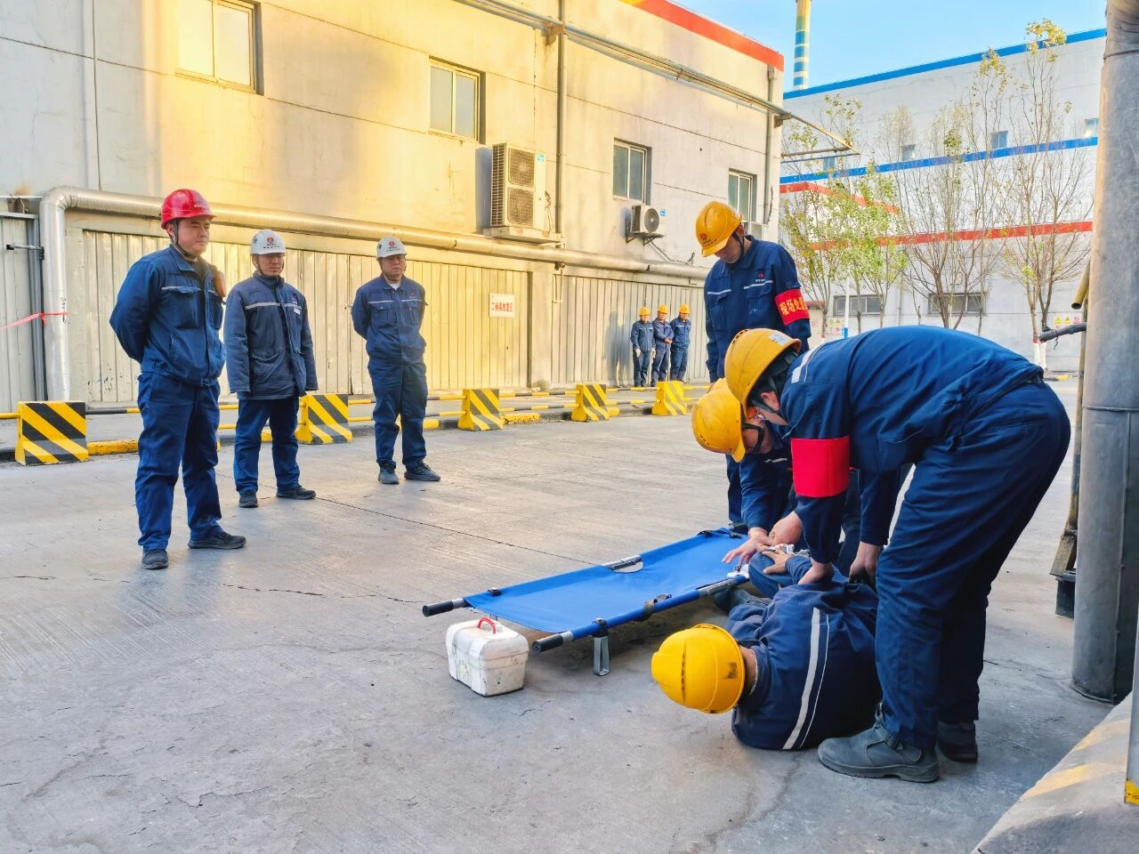 201763601468784833.jpg ca95f0ed-9b81-4b9f-9dc7-71157cff9282.jpg