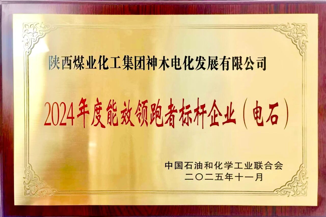 251764030931133566.jpg dcea9544-2722-4751-baa9-110698d2c577.jpg